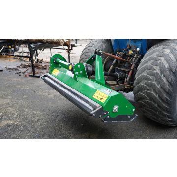 IM - BETESPUTS STANDARD