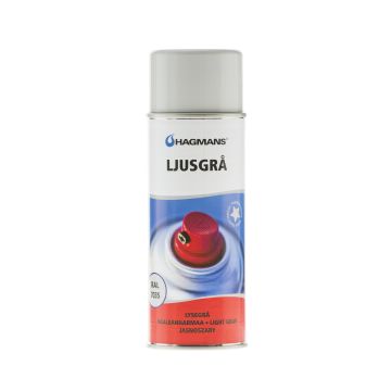 Ljusgrå RAL 7035 400 ml